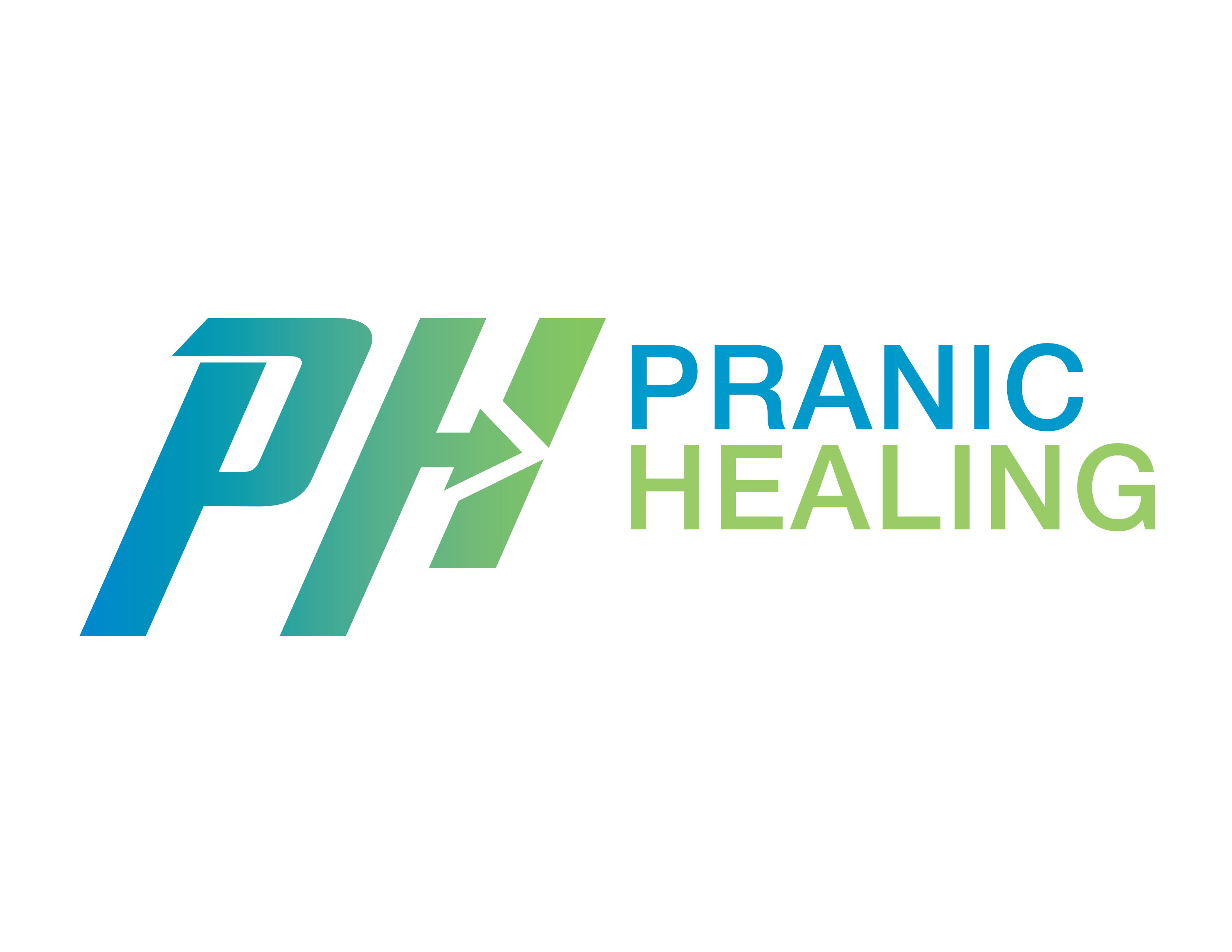 The Pranic Wellness Centre